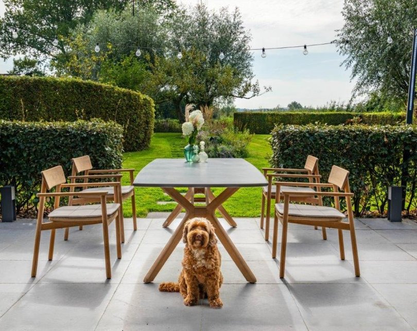 traditional teakCarmen ceramic table with Carmen dining chairs (1).jpg